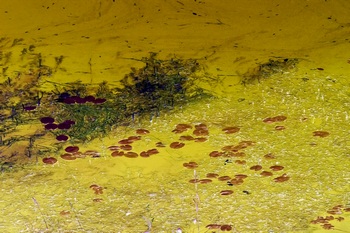 N 033C